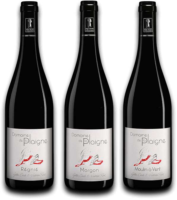 Wines from the  Domaine de la Plaigne