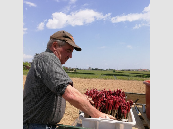 Au Domaine, on prépare l'avenir!