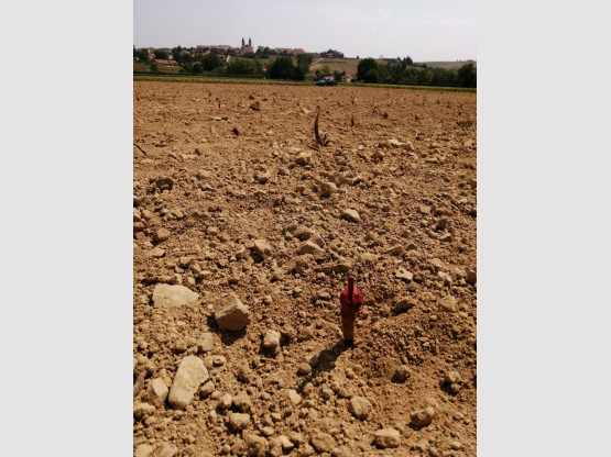 Au Domaine, on prépare l'avenir!