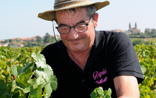 Les vendanges 2019...la promesse d'un beau millésime
