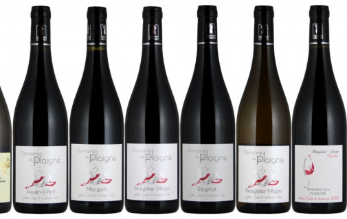Votre vin de la cave à votre domicile, directement, c'est possible.