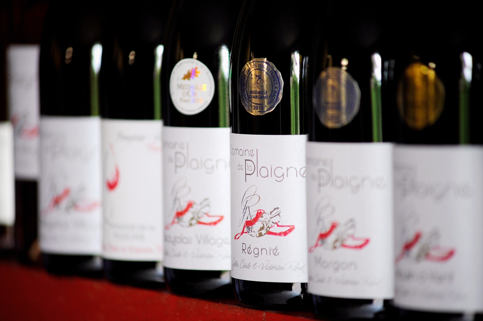 Discover our expressive, richly fruity wines